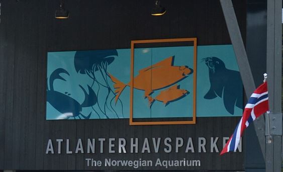 Acuario Atlántico de Ålesund con sus impresionantes tanques