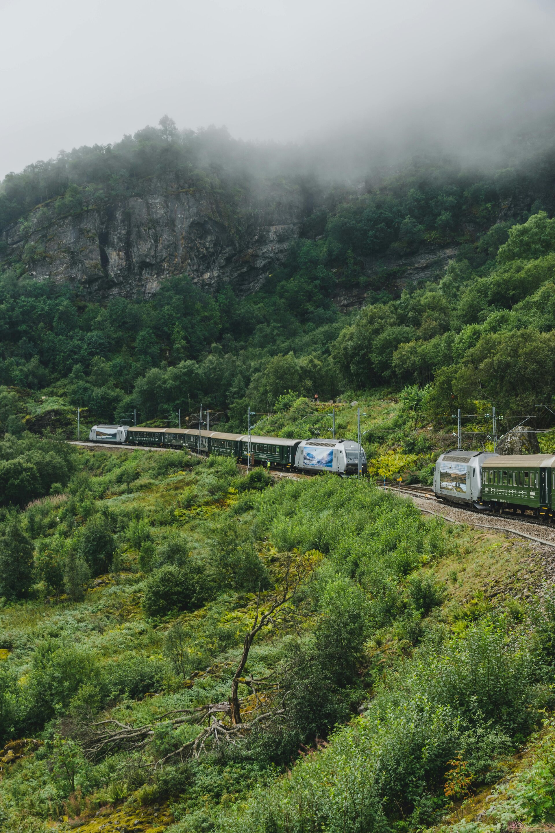 Tren blanco y azul sobre vías férreas cerca de árboles verdes